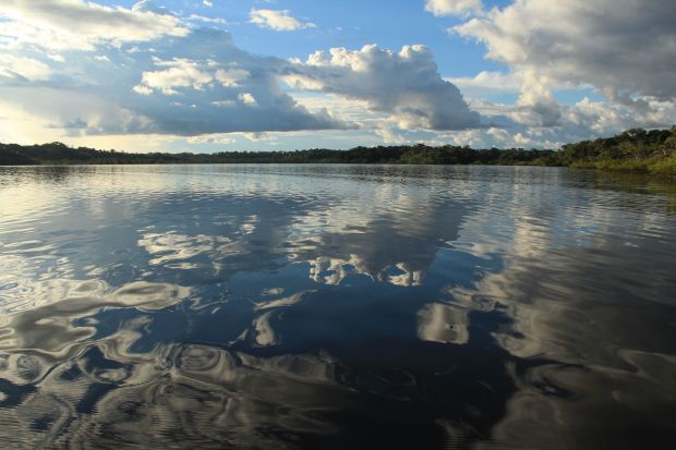 Laguna Grande, Cuyabeno National Park, Ecuador, Amazon