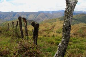 Vilcabamba view - fence