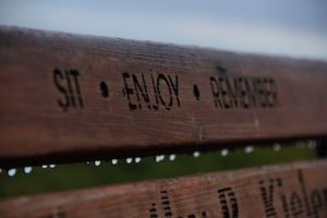 Dedication on one of the benches