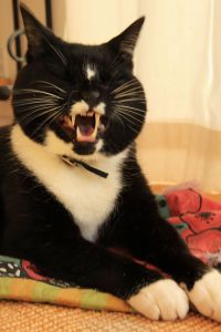 This is Scoobie laughing. It is okay to feel a little afraid.