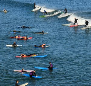 Busy day in surfing school