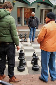 Amsterdam entertainment