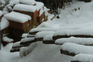 Snow and bricks are large parts of my Belgian experience