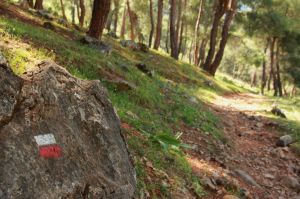 The path to Kayaköy