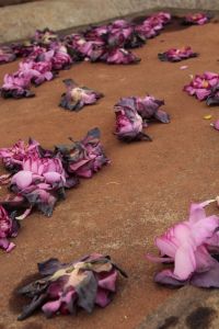 Yesterday's offerings