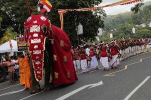 Vesak poya red elephants