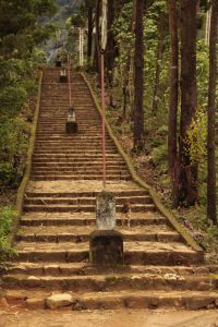 That's Janice running up ahead.