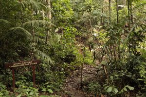 The warning sign when you leave the easy tourist walkways and enter the actual jungle.
