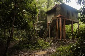 Taman Negara 03 Kumbang Hide