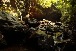 Time to stop and see some pretty stuff on Day One...