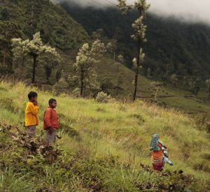 I never saw kids actually harvesting...but that knife is an odd toy.