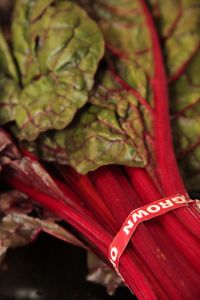 My contribution tomorrow.