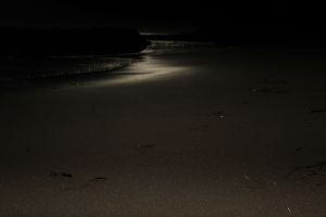 Underexposure Santa Cruz1