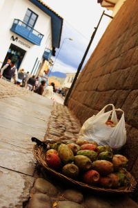 Cactus fruit, Cuzco, backpacking, travel