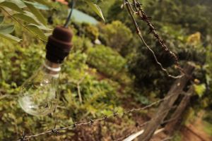 travel, Sri Lanka, Ella