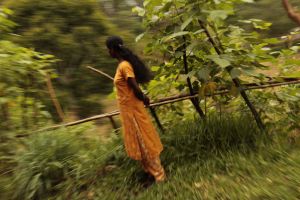 train travel photography, Sri Lanka