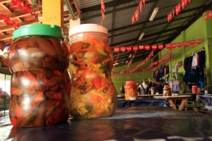 La Ruta de las Flores, Pueblos Vivos