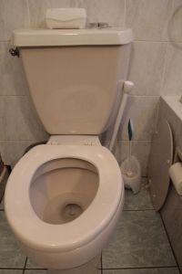 Yes, our toilet is slightly broken. As are the sink and shower. Everything is damaged but usable. I kind of like it, actually. Gives it character.