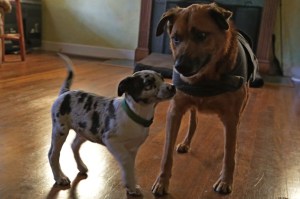 Sammy wasn't quite sure what to make of him