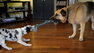 I've been going back and forth on this question...