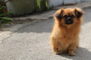 Just try it. See how nice I stay.