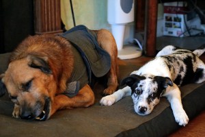 Sam and Stan whatchya doin