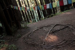 Prayer flags and peace signs? Redwoods have that effect on people. (Pic from a different forest.)