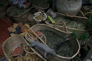 I wonder if Bourdain likes dried lizards? (Tangier souk, 04/09)