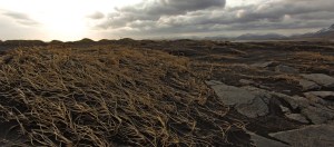 A windy afternoon in Iceland