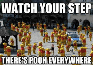 Pooh everywhere