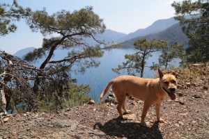 Lycian Way, Turkey coast