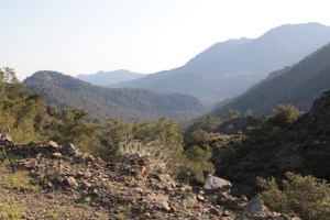 It's a little blurry because I was too tired to hold the camera still