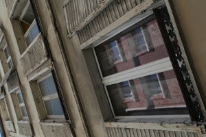 Everything is just so darn pretty