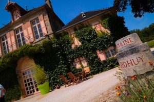 Burgundy vineyard 4774