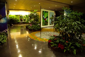 Taipei airport garden