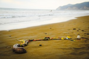 the beach, and the pollution that's killing it