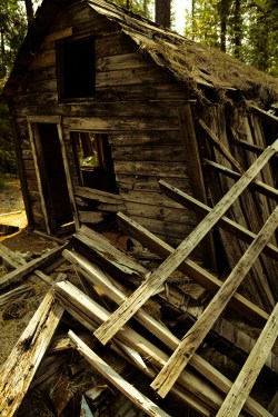 Crumbling house in the woods