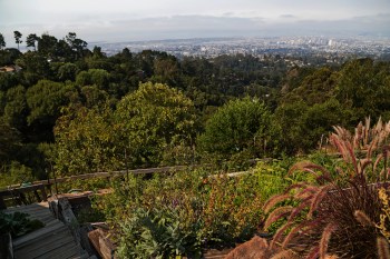 Oakland vista