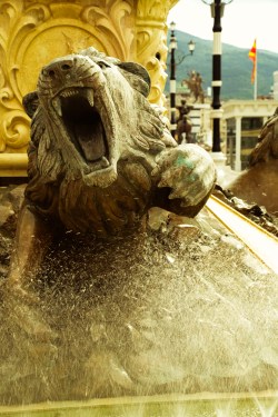 Skopje lions