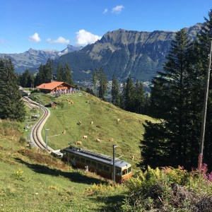 swiss-pastoral-countryside