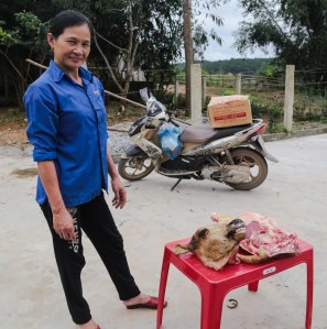 now-i-could-stop-and-see-stuff-like-this