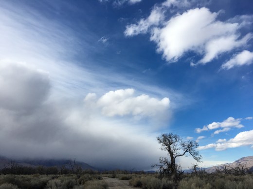 California desert sky