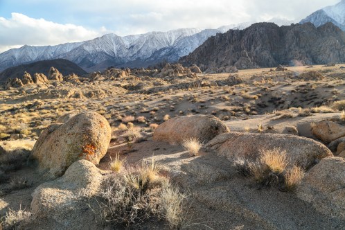California desertscape 2
