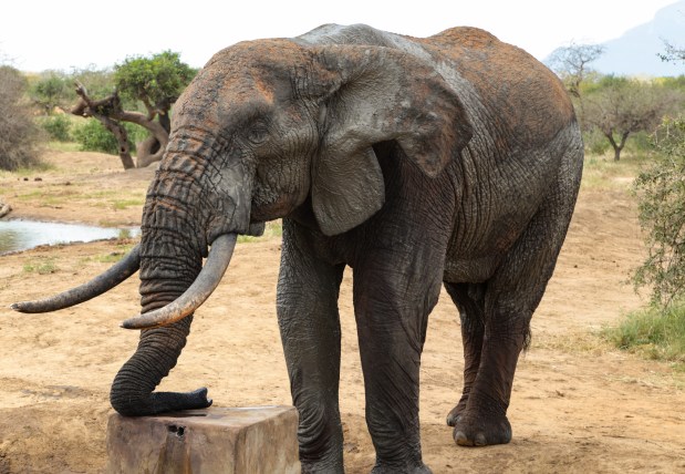 Julian at the water fountain