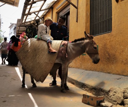 Lamu kids and donkeys