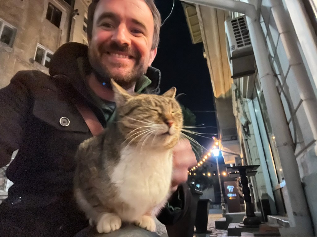 Cute street cat in Bucharest, Romania
